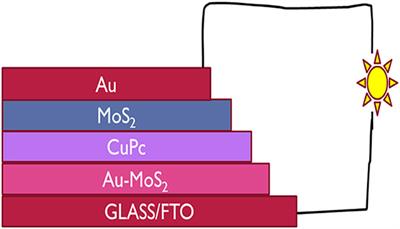Electrically Enhanced Transition Metal Dichalcogenides as Charge Transport Layers in Metallophthalocyanine-Based Solar Cells